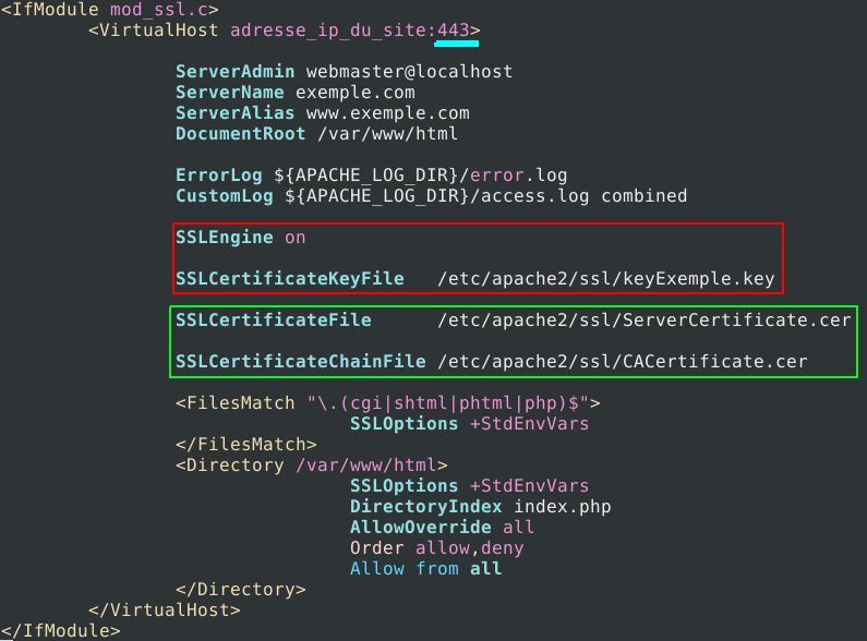 Installation d'un certificat SSL sur un serveur Apache