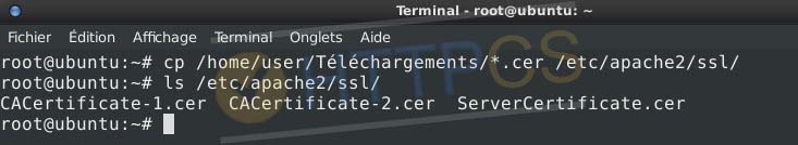 Installation d'un certificat SSL sur un serveur Apache
