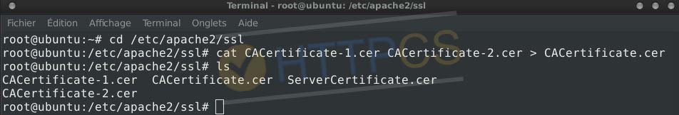 Installation d'un certificat SSL sur un serveur Apache