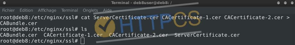 Installation d'un certificat SSL sur un serveur Nginx